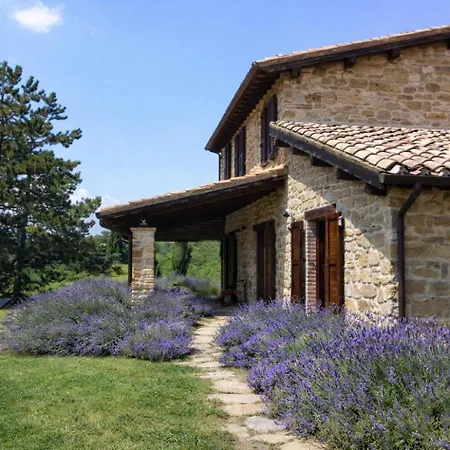 Adele - Carborello Crispiero