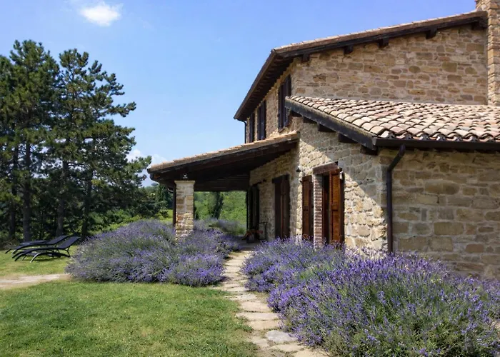 Adele - Carborello Crispiero